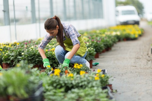 Eco-friendly decking solutions in Beckenham