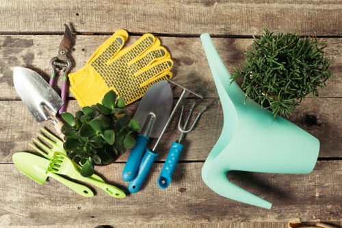 A collection of gardening tools and accessories arranged on a weathered wooden surface. Included are a pair of gardening gloves in yellow with black grips, small hand trowels with blue handles, a mini fork, and a hand pruning shear with purple handles. There is also a small potted plant with dense, green foliage and a light blue plastic watering can with a long spout. The scene suggests preparation for gardening or outdoor plant care within a residential garden or landscaped outdoor space, emphasizing typical gardening activities and tools used for planting, watering, and maintaining garden beds. The weather appears clear, with natural daylight illuminating the tools and plants, supporting professional gardening services such as those offered by Lawn Mowing Beckenham in the Beckenham area of London.