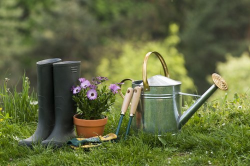 Seasonal garden maintenance in Beckenham