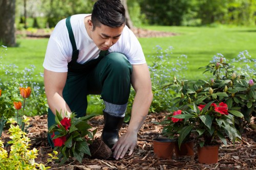 Eco-friendly gardening practices with sustainable features in Beckenham