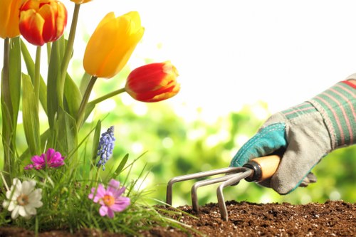 Sustainable landscaping practices in Beckenham