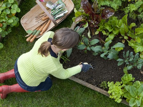 Professional Garden Clearance Team