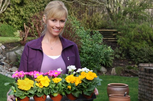 A smiling woman with blonde hair wearing a purple jacket and a white top is standing in a garden, holding a tray of vibrant flowering plants in small terracotta pots. The flowers are pink, yellow, and white, creating a colourful display. Behind her, there is a well-maintained lawn with lush green grass, bordered by various shrubs and trees, some with reddish-brown foliage. To her right, a couple of empty terracotta plant pots are placed on the grass, with a brick outdoor wall and steps leading up to a higher garden level visible in the background. The scene is outdoors on a bright day, with natural light illuminating the garden, which features a mix of cultivated plants and natural greenery typical of residential outdoor spaces in Beckenham, Kent. This image aligns with garden and landscaping services such as planting, garden maintenance, and outdoor beautification offered by Lawn Mowing Beckenham.