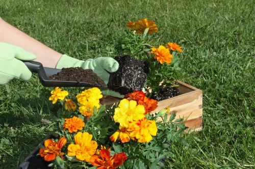 Seasonal garden care activities