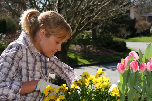 Essential garden tools for maintenance