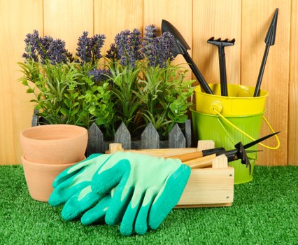 Choice of native and exotic plants for a diverse garden in Beckenham